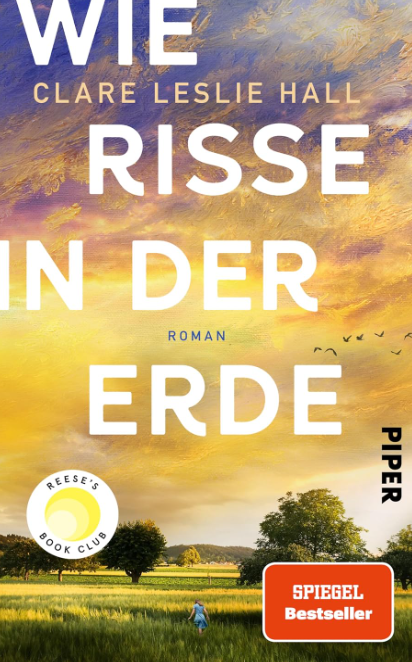 Wie risse in der Erde.png