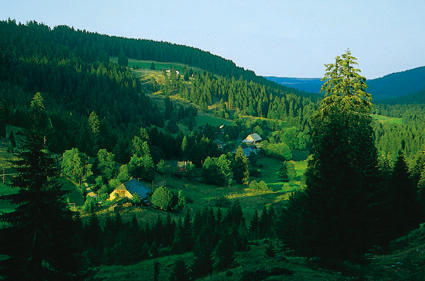 Schwarzwaldhöfe in Blasiwald
